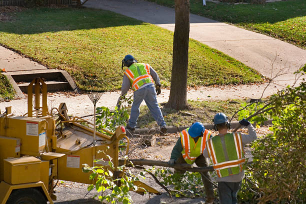 Lawn Drainage Solutions in Foster City, CA